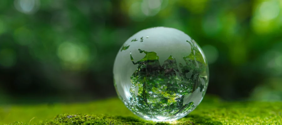 Environmental responsibility home of packaging Umweltverantwortung Verpackungsindustrie